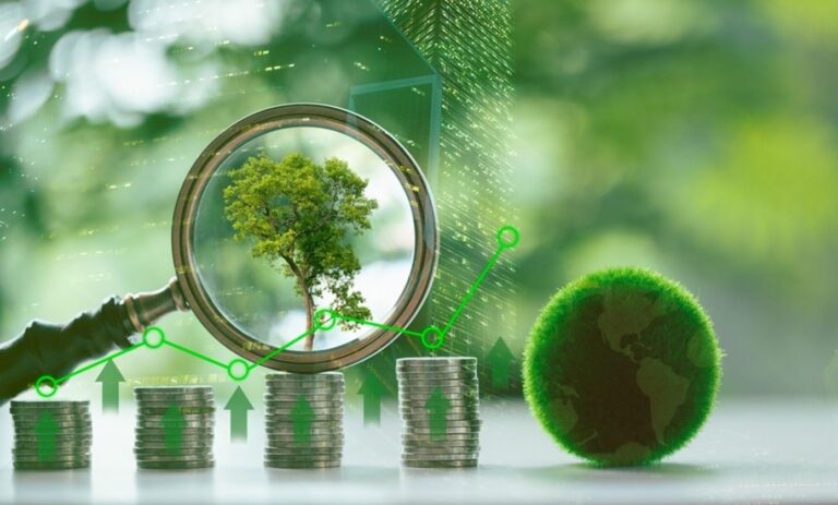 Bank established green fund to finance initiatives aimed at combating climate change